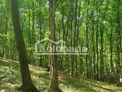 Prodaja, plac, 15600m², Sopot, Beograd - image 3