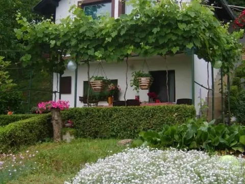 Sale, house, 64m², Sremska Kamenica, Petrovaradin - image 5