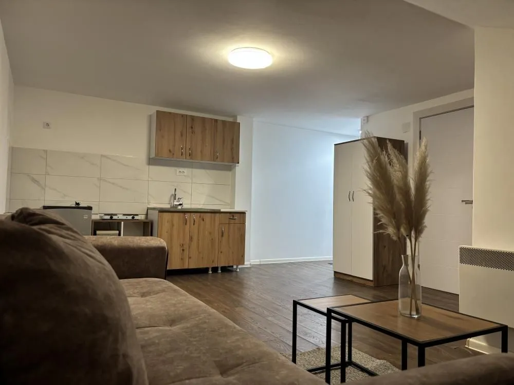 Rent, one bedroom apartment, 30m², Zvezdara Sve Podlokacije, Beograd