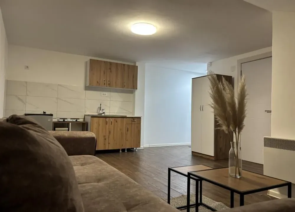 Izdavanje, jednosoban stan, 30m², Zvezdara Sve Podlokacije, Beograd