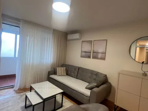 Izdavanje, jednosoban stan, 45m², Dalmatinska ulica, Podgorica - image 2