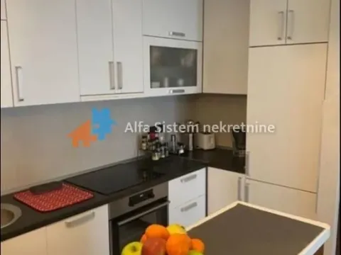 Izdavanje, stan, 56m², Južni Bulevar, Vračar Sve Podlokacije - image 4