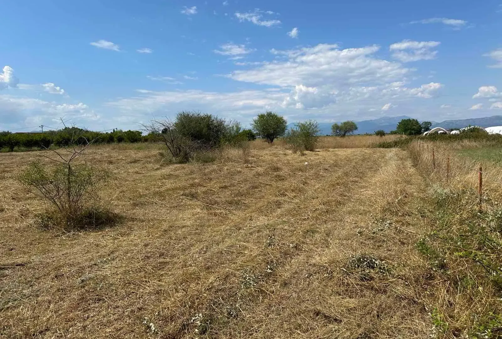 Prodaja, plac, 6000m², Zeta, Podgorica