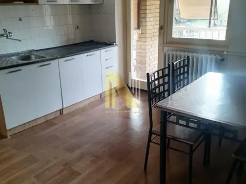 Izdavanje, dvosoban stan, 60m², Detelinara, Novi Sad Sve Podlokacije