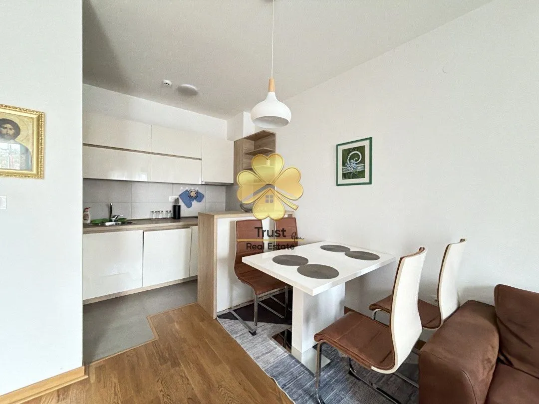 Rent, one bedroom apartment, 50m², Zagorič, Podgorica