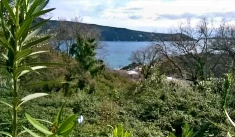 Prodaja, plac, 3020m², Meljine, Herceg Novi