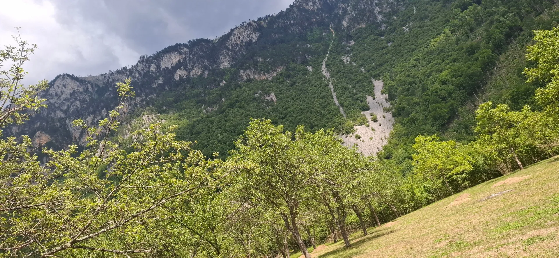 Prodaja, plac, 4000m², Dobrilovina, Mojkovac