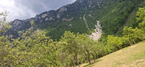 Prodaja, plac, 4000m², Dobrilovina, Mojkovac - image 19