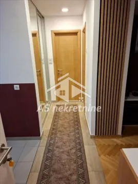 Izdavanje, dvosoban stan, 47m², Slavija, Vračar Sve Podlokacije - image 16