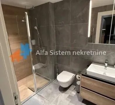 Izdavanje, dvosoban stan, 60m², Savski Venac, Beograd - image 11
