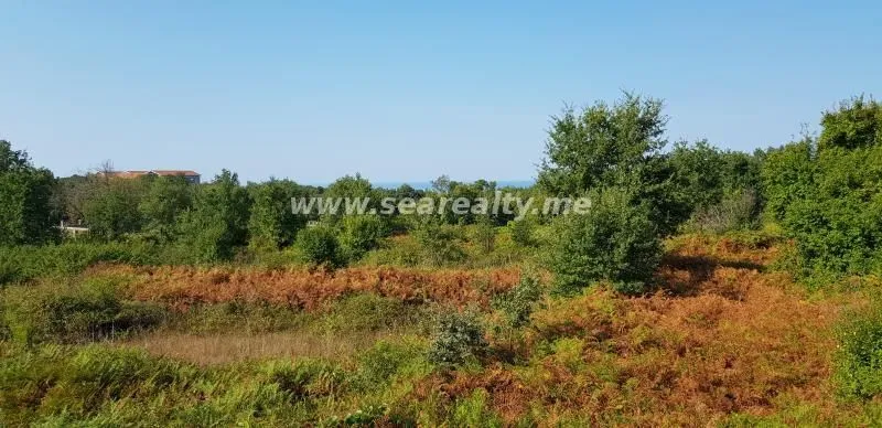 Prodaja, plac, 6400m², Krimovica, Kotor