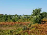 Sale, land lot, 6400m², Krimovica, Kotor - image 3