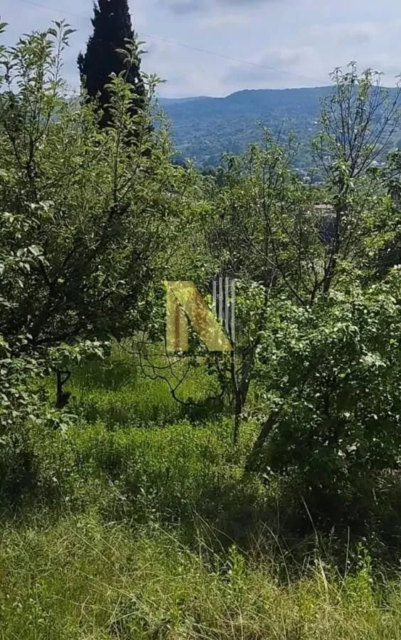 Prodaja, kuća, 65m², Sremska Kamenica, Petrovaradin