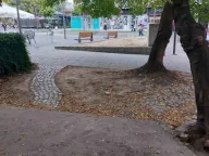 Sale, office space, 71m², Centar, Paraćin - image 3