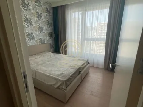 Izdavanje, trosoban stan, 80m², Savski Venac, Beograd - image 13