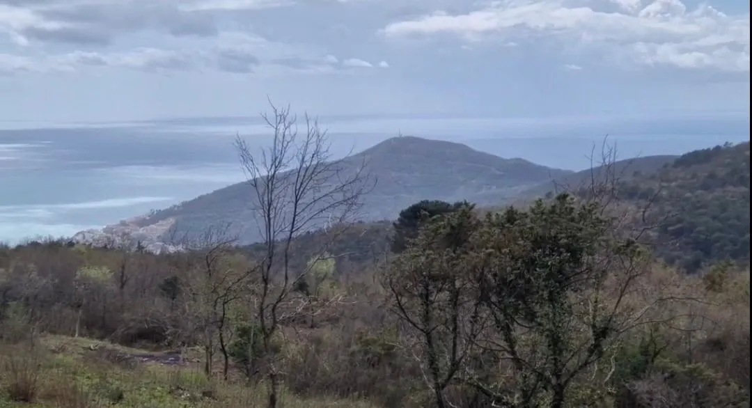 Prodaja, plac, 5200m², Budva, Crna Gora