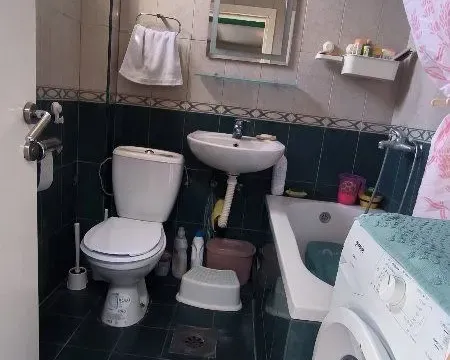 Prodaja, kuća, 274m², Vojvode Vlahovica, Beograd - image 18