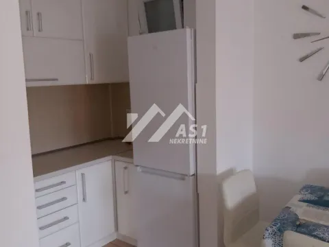 Izdavanje, dvosoban stan, 41m², Novi Sad Sve Podlokacije, Novi Sad - image 2