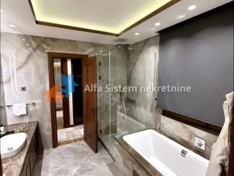 Izdavanje, stan, 350m², Južni Bulevar, Vračar Sve Podlokacije - image 25