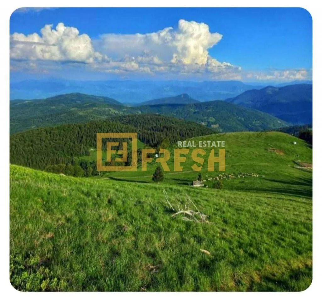 Prodaja, plac, 6000m², Berane, Crna Gora