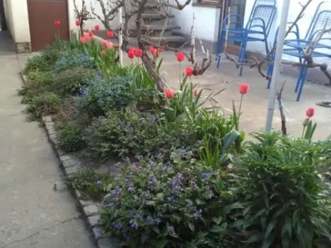 Sale, house, 138m², Sombor, Srbija - image 3