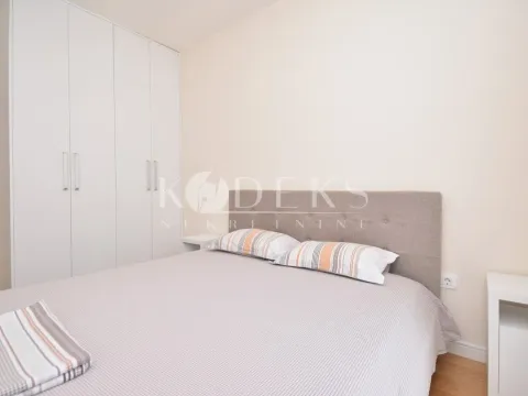 Izdavanje, jednosoban stan, 47m², Central Point, Podgorica - image 14