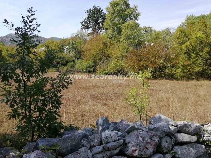Prodaja, plac, 45844m², Brežine, Podgorica