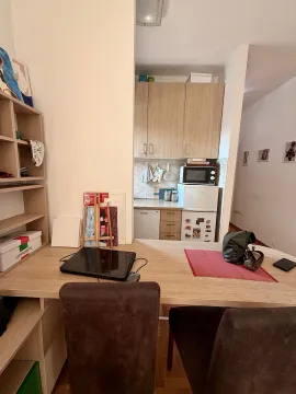 Rent, one bedroom apartment, 30m², Zabjelo, Podgorica - image 6