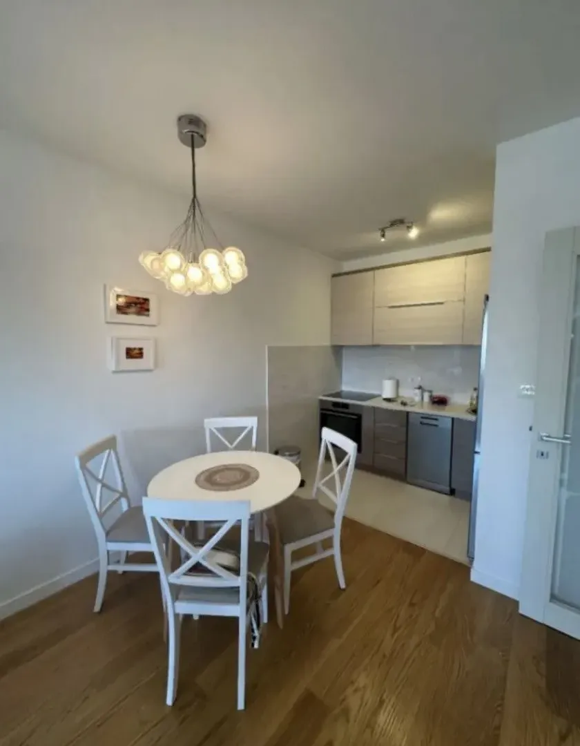 Izdavanje, jednosoban stan, 49m², Central Point, Podgorica