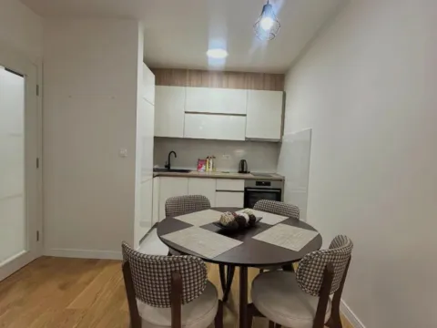 Prodaja, jednosoban stan, 49m², Central Point, Podgorica - image 2