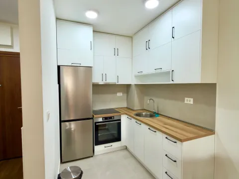 Izdavanje, jednosoban stan, 45m², Stari Aerodrom, Podgorica - image 2