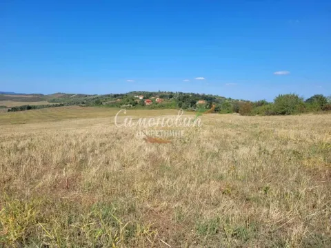 Sale, land lot, 18200m², Grocka, Beograd - image 8