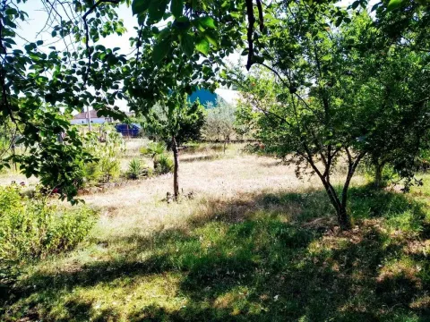 Zeleno dvorište puno drveća i rastinja. - image 6