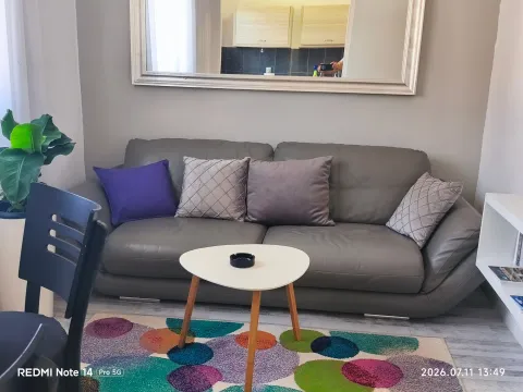 Rent, one bedroom apartment, 35m², Preko Morače, Podgorica - image 1