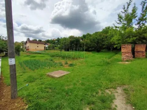 Prodaja, plac, 1000m², Sremska Kamenica, Petrovaradin - image 3