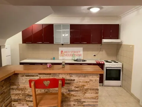 Izdavanje, jednosoban stan, 55m², Zvezdara Sve Podlokacije, Beograd - image 8