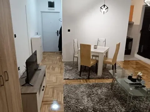 Izdavanje, dvosoban stan, 45m², Niš, Srbija - image 2