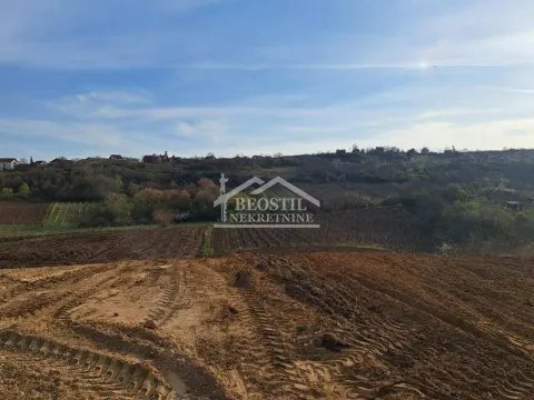 Prodaja, plac, 4966m², Brestovik, Grocka - image 5