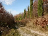 Prodaja, plac, 200m², Pričelje, Podgorica - image 4