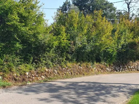 Prodaja, plac, 4200m², Bjeliši, Bar - image 6