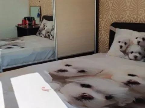 Sale, one bedroom apartment, 63m², Sutomore, Bar - image 4