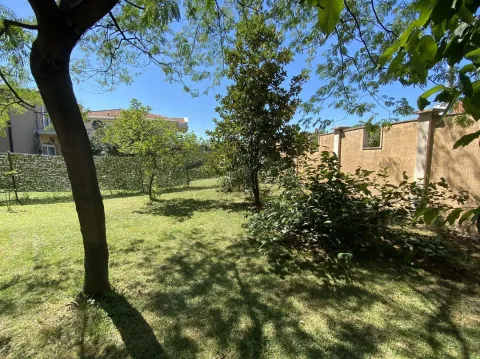 A spacious, well-maintained yard with green lawn and trees. - image 10