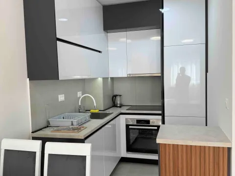 Rent, one bedroom apartment, 47m², Stari Aerodrom, Podgorica - image 3