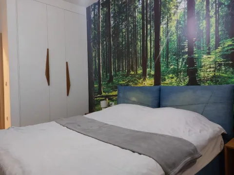 Rent, one bedroom apartment, 57m², Dobrota, Kotor - image 12