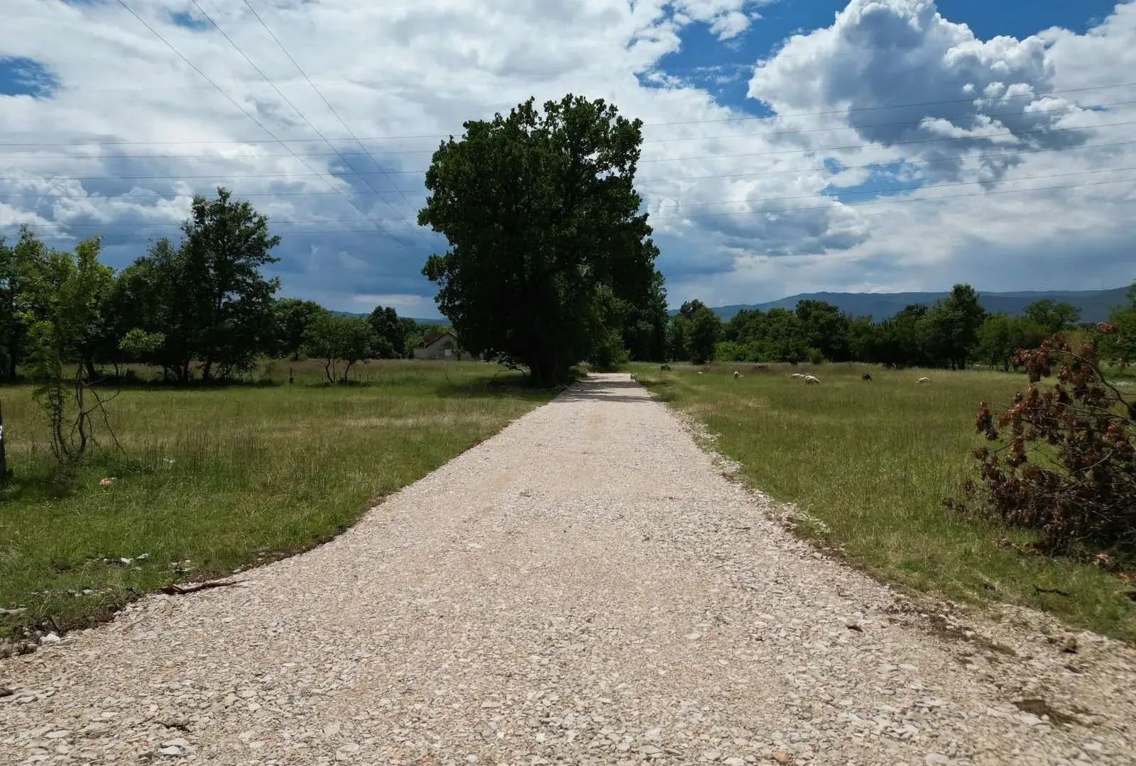 Prodaja, plac, 8000m², Gorica, Danilovgrad
