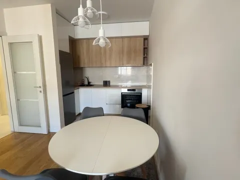 Izdavanje, jednosoban stan, 50m², Central Point, Podgorica - image 4