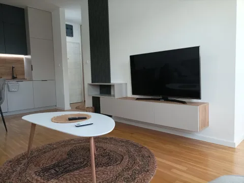 Izdavanje, jednosoban stan, 43m², Zabjelo, Podgorica - image 5