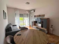 Izdavanje, jednosoban stan, 50m², Stari Aerodrom, Podgorica - image 6