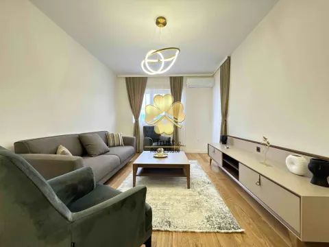 Izdavanje, jednosoban stan, 49m², Central Point, Podgorica