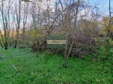 Prodaja, plac, 92300m², Đurđevo brdo, Jagodina - image 5